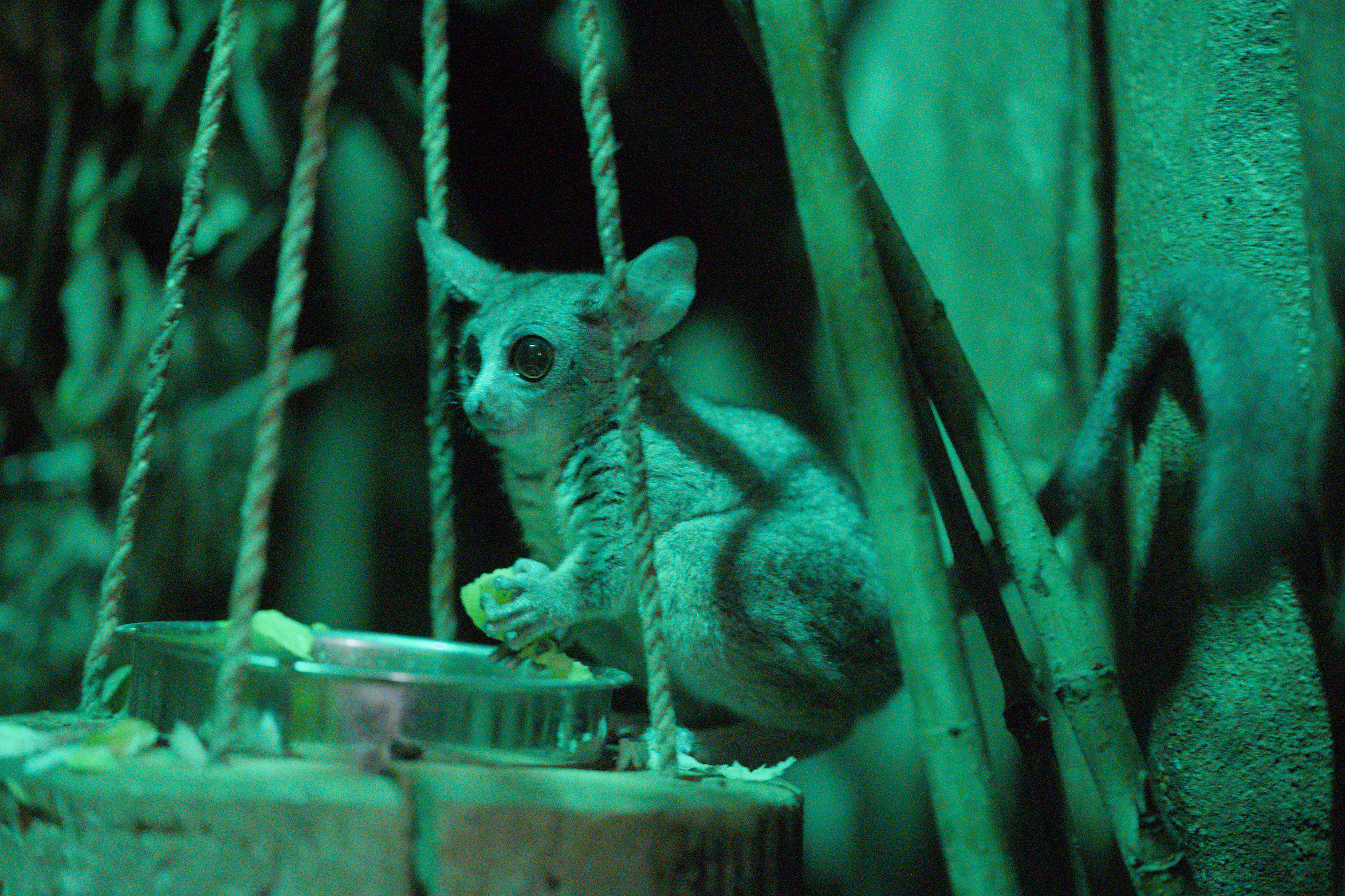 2025/10/12 - zoo/DSC_0301.jpg